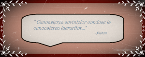 platon1 300x119 1